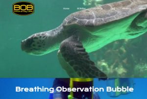 Website for BOB Dive Key West
