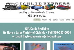 Pet Fish website for Cichlid Express